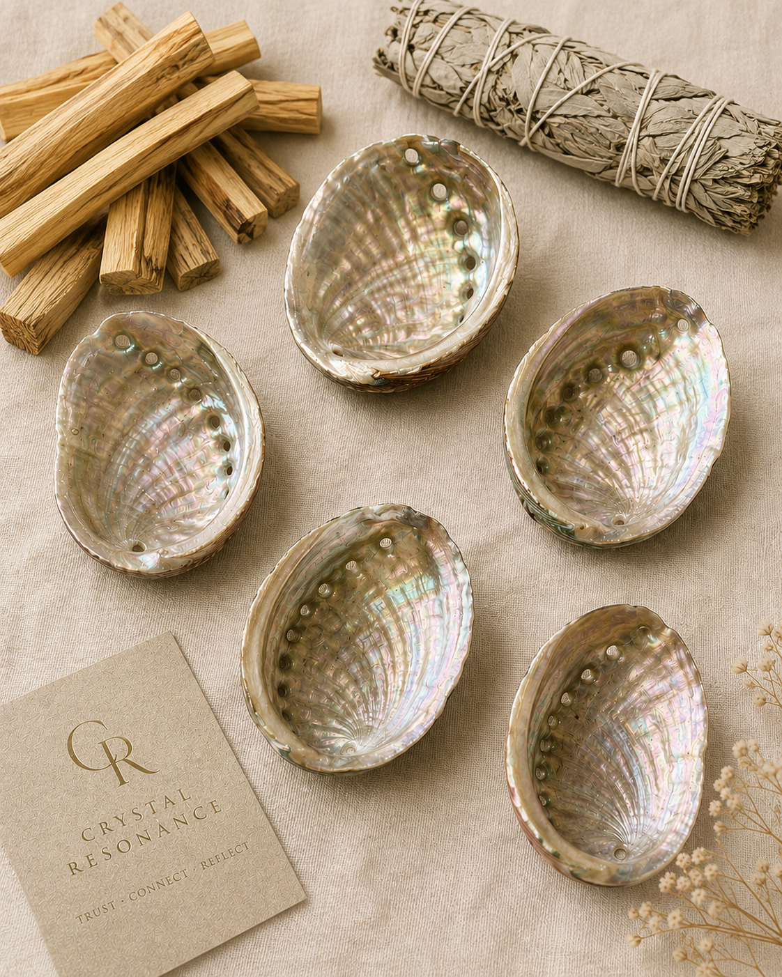 Abalone Smudging Shells