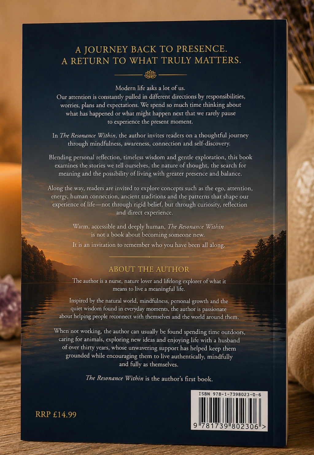 The Resonance Within Book